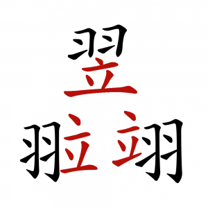 Chinese characters made up of the same components with different placement