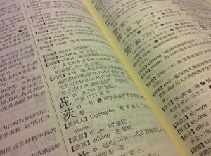 looking-up-words-in-chinese