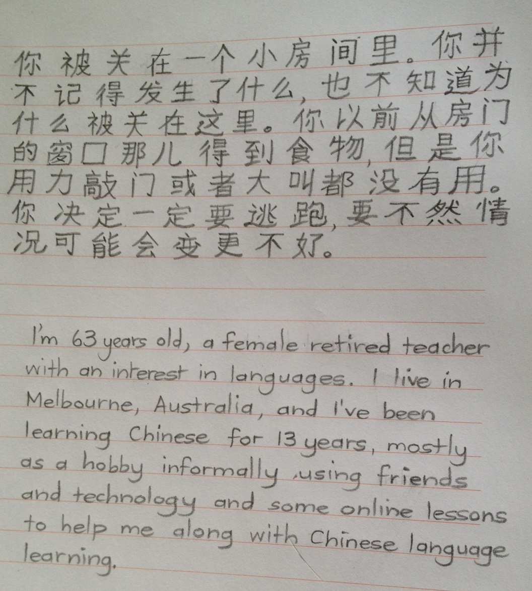 my school essay in chinese language